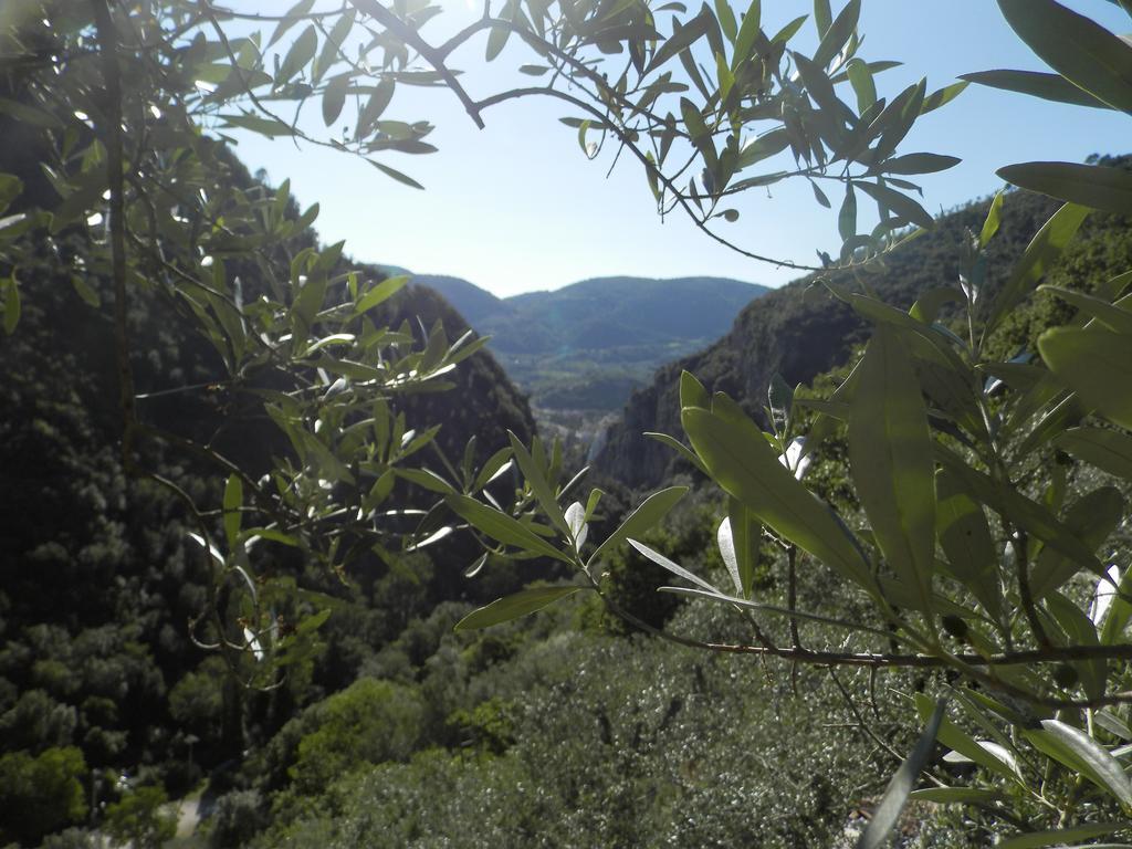 فندق Residenza Di Paese Castello Del Poggio Ferentillo المظهر الخارجي الصورة