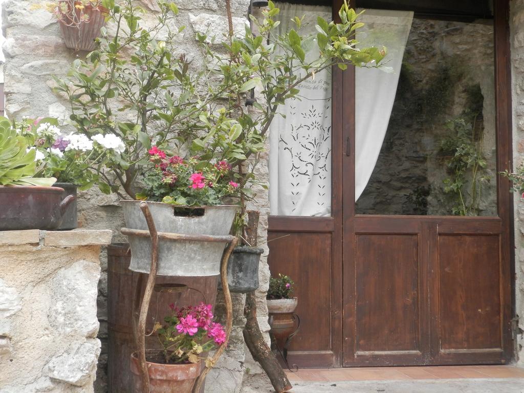 فندق Residenza Di Paese Castello Del Poggio Ferentillo المظهر الخارجي الصورة